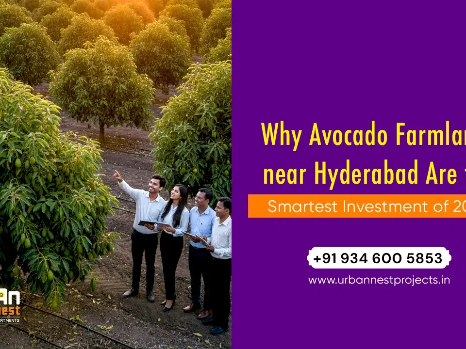 Avocado Farmlands for Sale in Hyderabad